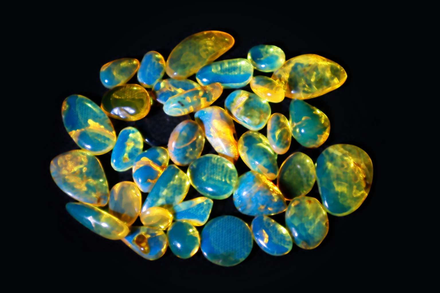 Dominican Amber